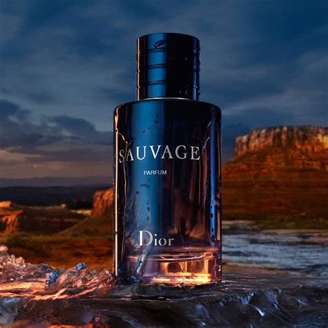 dior sauvage e de parfum|dior sauvage cheapest price.